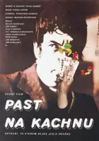 plakat filmu Polowanie na kaczkę