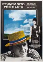 plakat filmu Řeknem si to příští léto