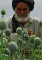 Inside Afghan Heroin