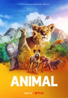plakat filmu Zwierzęta z bliska