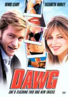 plakat filmu Poskromienie podrywacza