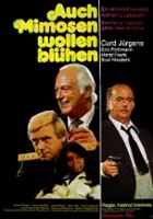 plakat filmu Auch Mimosen wollen blühen