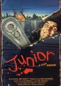 Plakat filmu Junior