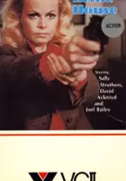 plakat filmuA Gun in the House