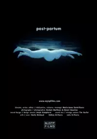 Plakat filmu Post-Partum