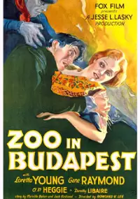 Plakat filmu Szalona noc