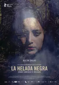 Plakat filmu Czarny mróz