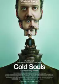Plakat filmu Bez duszy