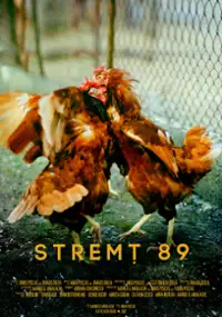 Plakat filmu Stremţ 89