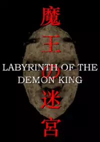 Plakat gry Labyrinth Of The Demon King