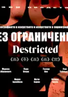 plakat filmu Destricted