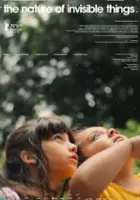 plakat filmu A natureza das coisas invisíveis