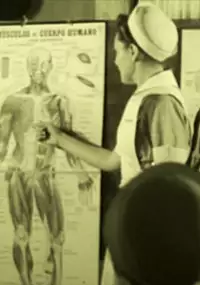 Plakat filmu Fallas de Origen