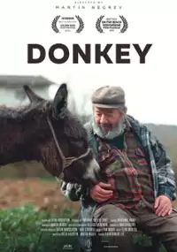 Plakat filmu Oślica