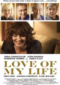 Plakat filmu Love of My Life