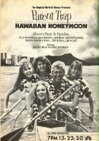 plakat filmu Nie wierzcie bliźniaczkom: Hawajskie wakacje