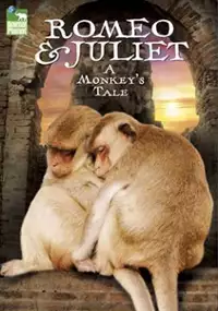 Plakat filmu Romeo i Julia: opowieść o małpach