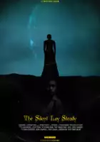 Stephanie Kowal / The Silent Lay Steady