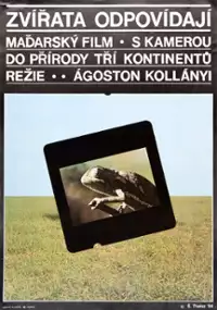 Plakat filmu Az Állatok válaszolnak