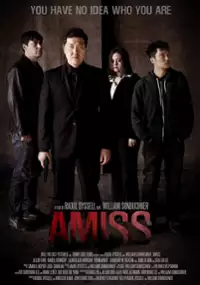 Plakat filmu Amiss