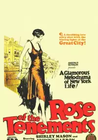 Plakat filmu Rose of the Tenements