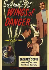 Plakat filmu Wings of Danger