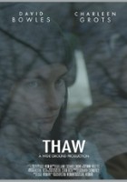 plakat filmu Thaw