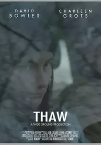 Plakat filmu Thaw