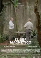 Mariel Fern&aacute;ndez / El ser magnético