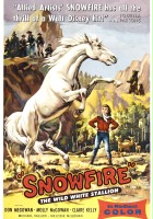 plakat filmu Snowfire