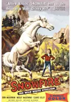 plakat filmu Snowfire