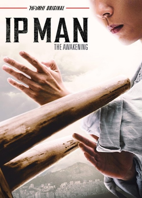 Tytuły - Ip Man Przebudzenie (2021) - Filmweb