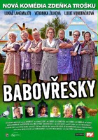 plakat filmu Babovřesky