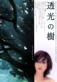 Plakat filmu Toukou no ki