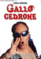 plakat filmu Gallo cedrone