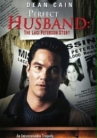 plakat filmu Mąż doskonały