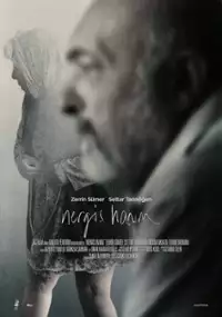 Plakat filmu Nergis Hanım