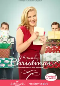 Plakat filmu Open by Christmas