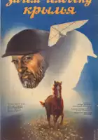 plakat filmu Po co człowiekowi skrzydła