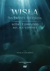 Plakat serialu Wisła od źródeł do ujścia. Wzdłuż dawnego szlaku łososia