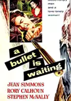Howard Welsch / A Bullet Is Waiting