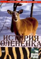 plakat filmu Reniferek
