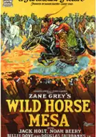 plakat filmu Wild Horse Mesa