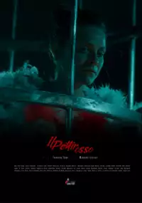 Plakat filmu Il Pettirosso