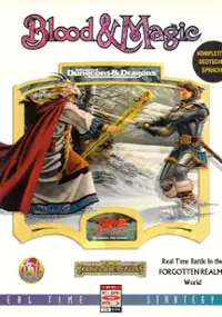 Plakat gry Blood & Magic