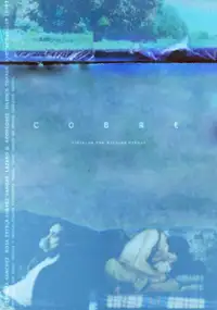 Plakat filmu Cobre
