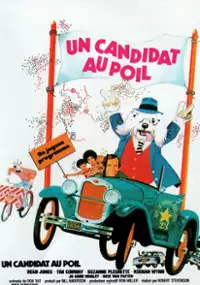 Plakat filmu The Shaggy D.A.