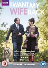 Plakat serialu I Want My Wife Back