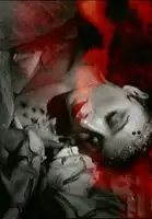 plakat filmu Shadows Choose Their Horrors