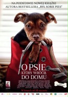 plakat filmu O psie, który wrócił do domu